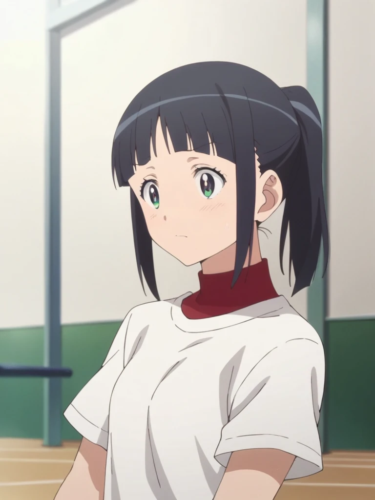 score_9, score_8_up, score_7_up, source_anime,masterpiece,best quality,highres,absurdres,official art,official style,source_anime,anime screencap,anime coloring,megami magazine,anime,animated,explicit,
portlait,gym,sweat,
<lora:major_sakura_mutsuko:1> sakura_mutsuko,black hair,ponytail,blunt bangs,