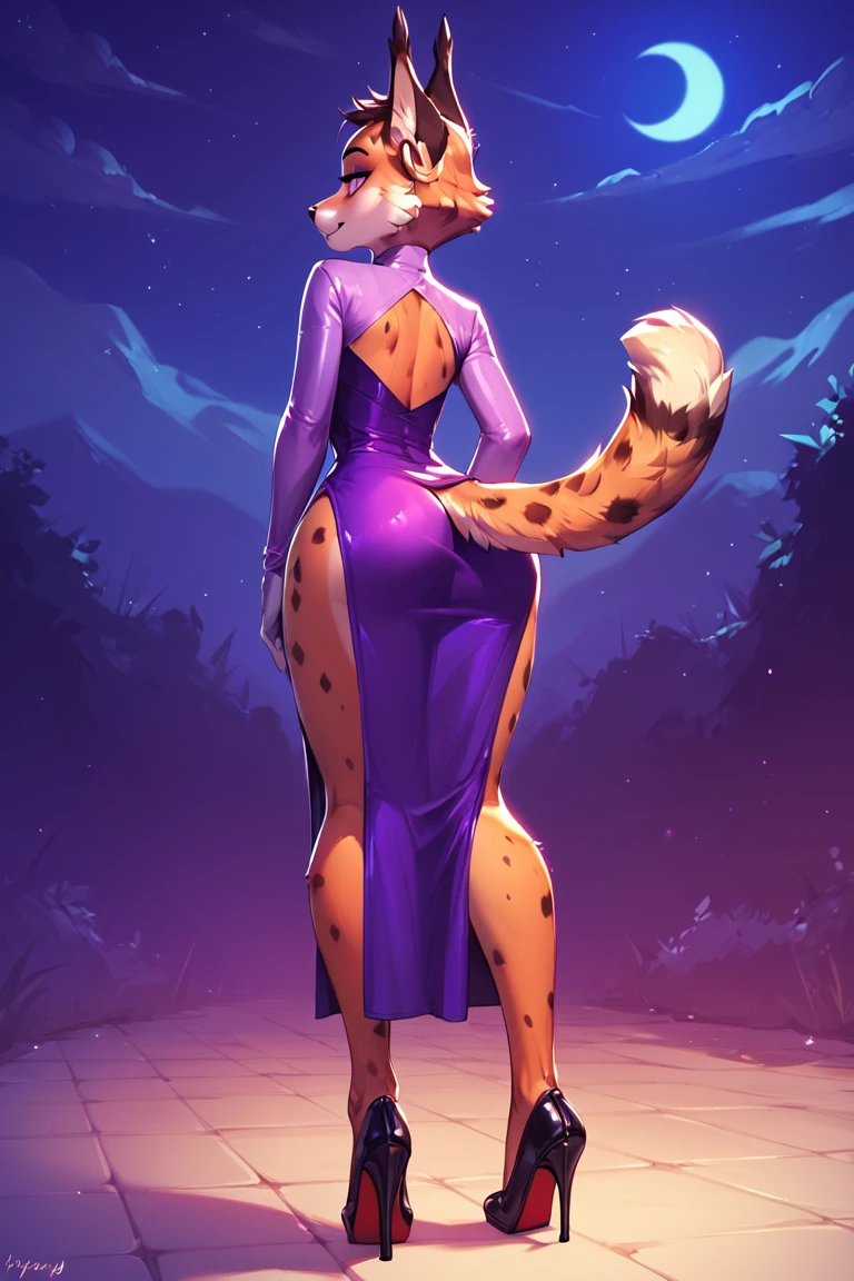 score_9, score_8_up, score_7_up, 1girl, solo, Miyu, side slit, purple dress, high heels, from behind, ass focus, tight fit, impossible clothes, night time <lora:Miyu_Swift_Star_Fox:1>