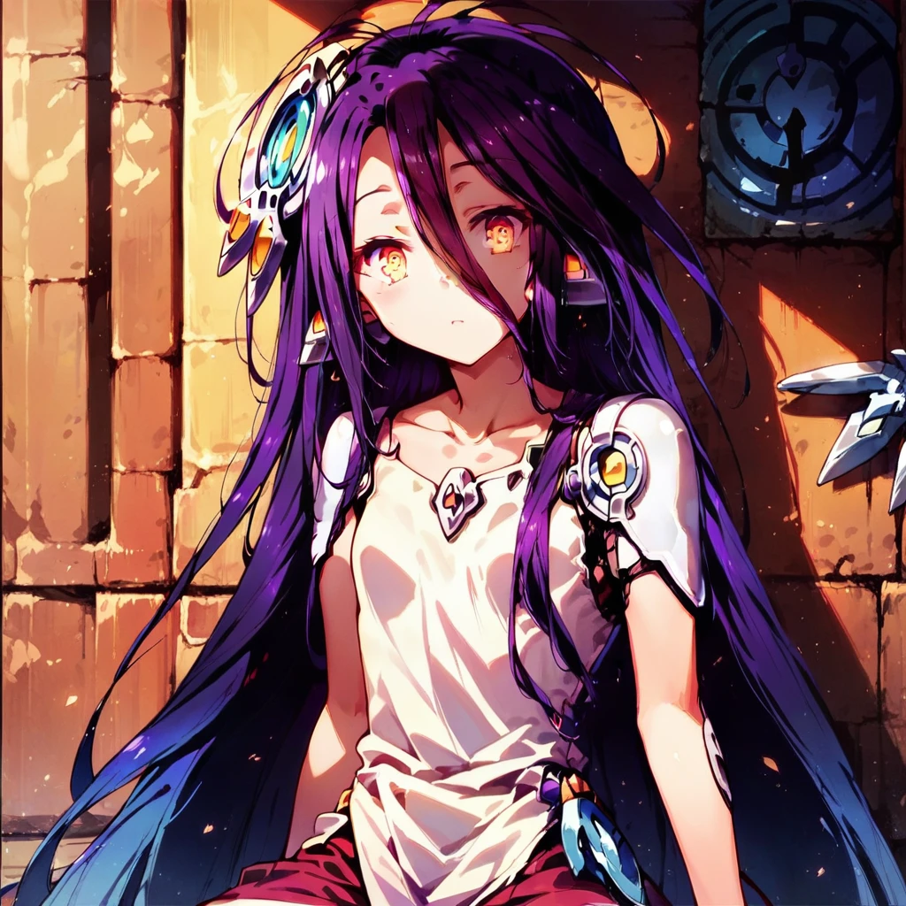 score_9, score_8_up, score_7_up, 1girl, shuvi, no game no life, highly detailed, masterpiece, best quality, <lora:shuva-no-game-ponyXL-000009:1>, detailed eyes, aged down, shade, wariza,