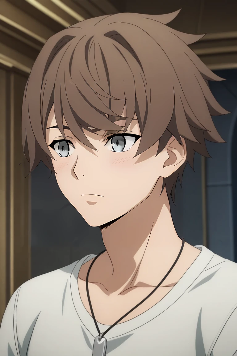 score_9, score_8_up, score_7_up, source_anime, , anime screencap, anime coloring, official style, , upper body, depth of field, 1boy, solo, male focus, <lora:kanata_synduality_noir_pony:0.96>, kanata_synduality_noir, brown hair, grey eyes, , The Palace of Dreams, , <lora:sdxl_lightning_8step_lora:1>