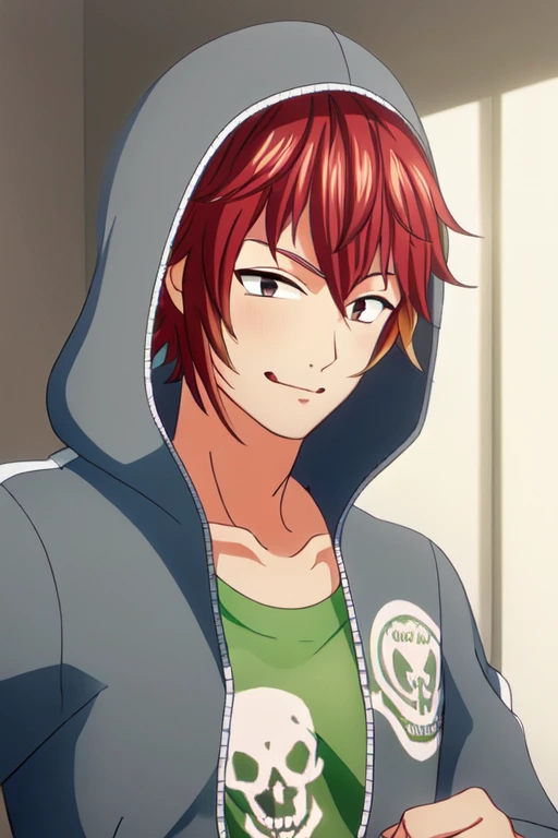 (masterpiece),(best_quality),1boy,Rasetsuten,smirk,grey hood,open jacket,green t-shirt,skull print,collarbone,<lora:Rasetsuten:1>,