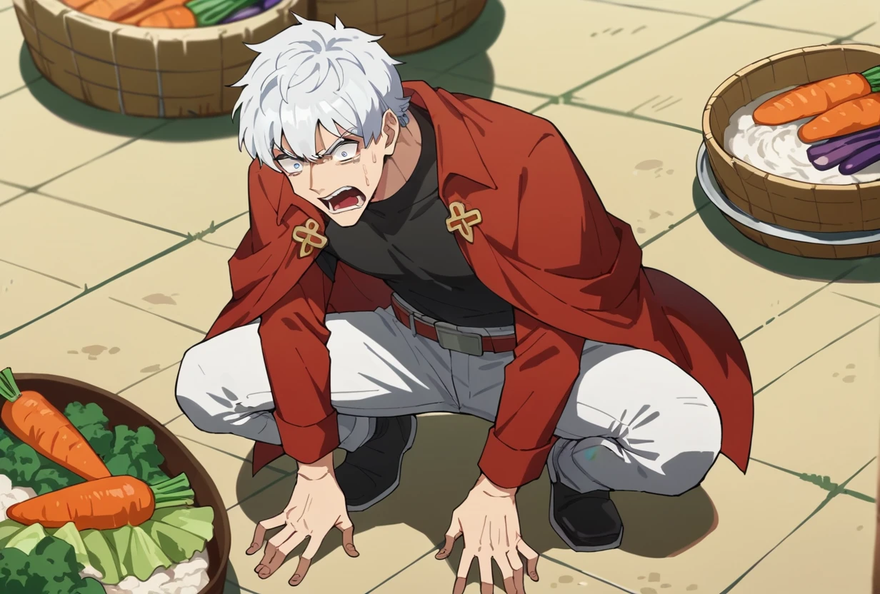 score_9, score_8_up, score_7_up, ronaldoVDNT, 1boy, solo, white hair, blue eyes, red hat, red jacket, black shirt, belt, white pants, squatting, spread legs, celery, vegetables, scared, scream, freaking out, rice field