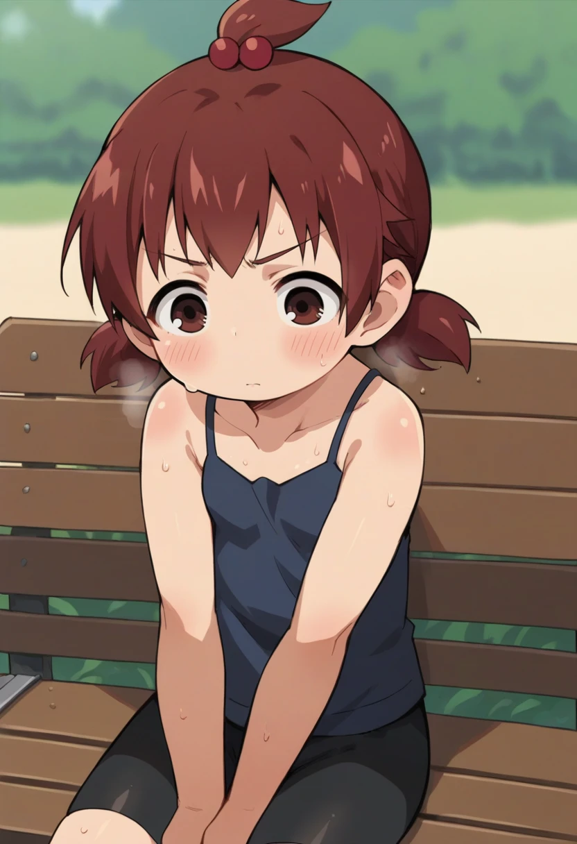 score_9, score_8_up, score_8, source_anime, 1girl, (solo), small girl, <lora:FutabaMarui:0.69> short hair, topknot, short twintails, dark red hair, red hair bobbles, hair ornament, brown eyes, camisole, blush, eyes wide open, upper body, bike shorts, sitting on bench, sweaty,
beach background, blurry background