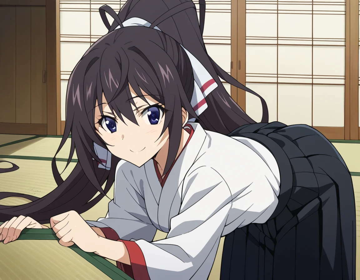 score_9, score_8_up, score_7_up, source_anime,
houkishinonono, <lora:houki-shinonono-s2-ponyxl-lora-nochekaiser:1>,
houki shinonono, long hair, blue eyes, black hair, ribbon, hair ribbon, ponytail,
skirt, japanese clothes, hakama, hakama skirt, black hakama,
indoors, dojo, bent over, smile,
looking at viewer, cowboy shot, solo, dutch angle,