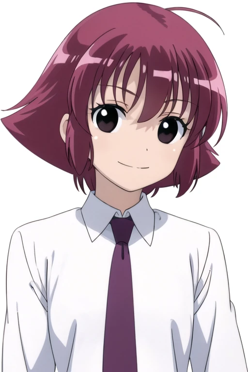 solo, 1girl, looking at viewer, 2D, anime, anime coloring, upper body, (simple background, solid white background:1.3), <lora:satomi-saki:0.75>, satomi kanbara, school uniform, necktie, smile