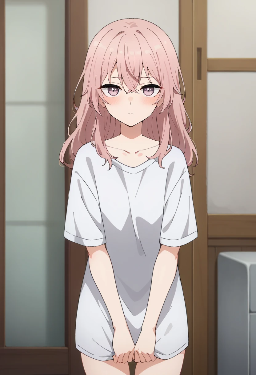 score_9, score_8_up, score_7_up, source_anime,
<lora:SonoBisqueDoll_InuiSajunaXL:0.8>, InuiSajuna,
1girl, closed mouth, blush,
pink hair, long hair, lavender eyes,
SajunaShirt, white shirt, collarbone, oversized shirt, short sleeves,
standing, looking at viewer, thigh gap,
indoors