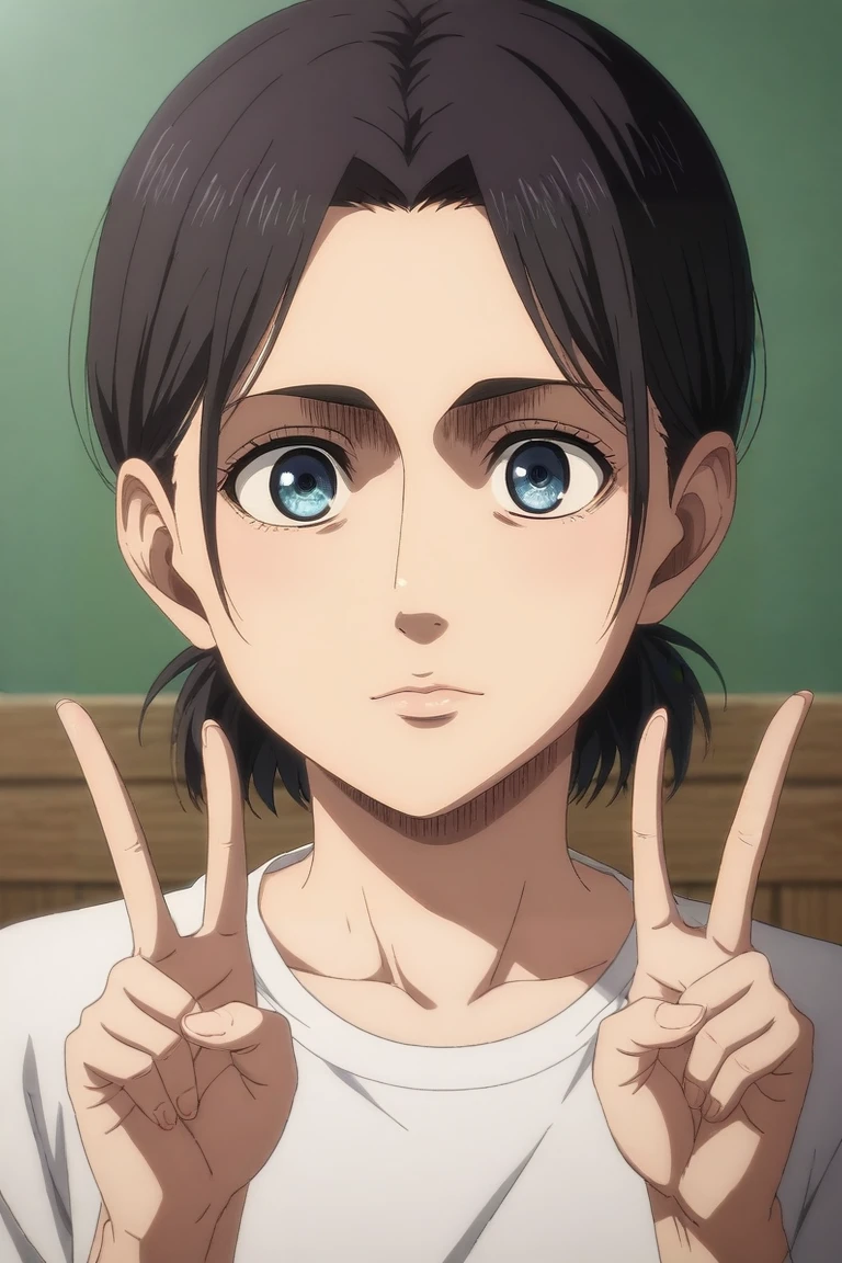 score_9, score_8_up, score_7_up, source_anime, rating_safe, intricate details, anime screencap, anime coloring, , looking at viewer, depth of field, 1girl, jade eyes, chestnut hair,, solo, panorama, gym, light, v, peace sign, squinting, <lora:shingeki_no_kyojin_s4_style_pony:0.76>, shingeki_no_kyojin_s4_style, <lora:sdxl_lightning_8step_lora:1>