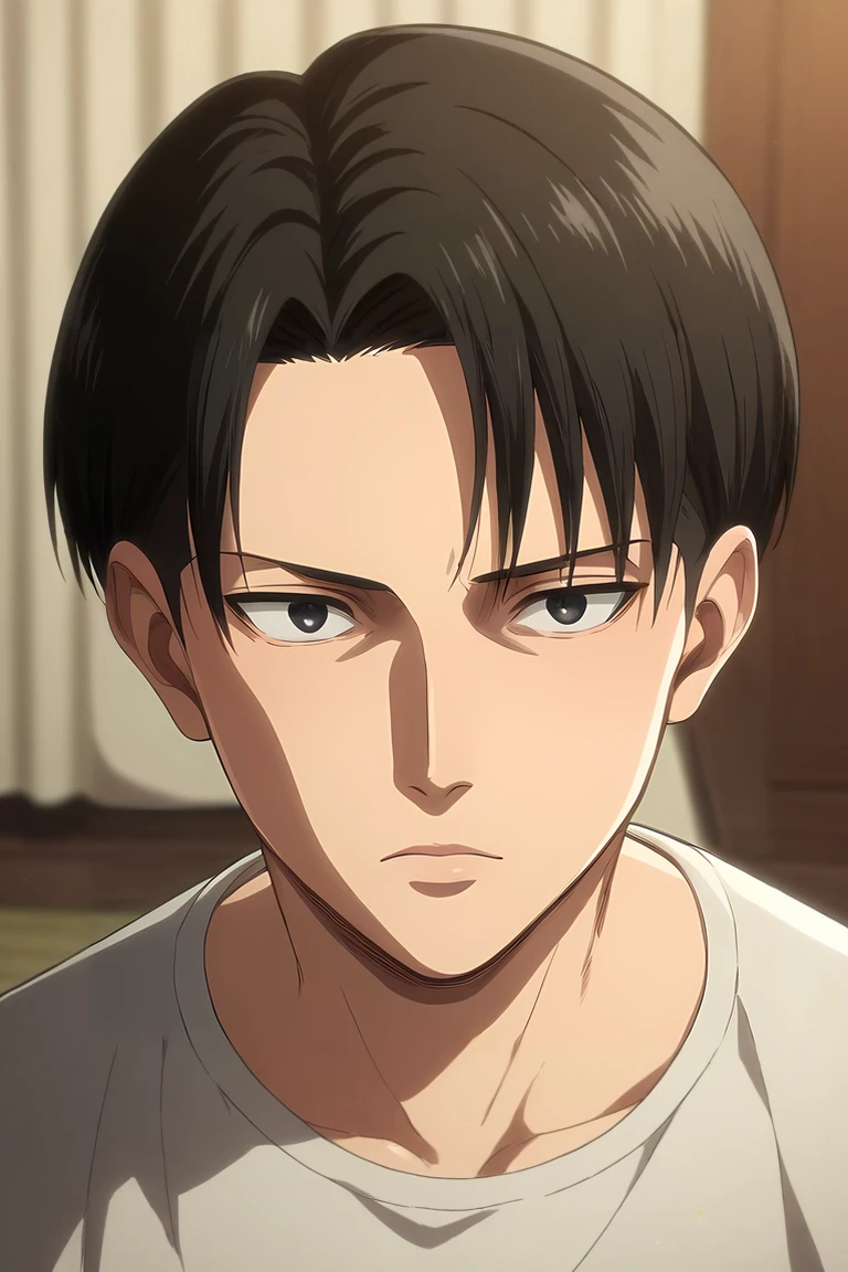 score_9, score_8_up, score_7_up, source_anime, rating_safe, , semi-realistic, , depth of field, 1boy, solo, male focus, <lora:levi_ackerman_pony:0.82>, levi_ackerman, black hair, black eyes, short hair, curtained hair, final season, from above, dining room, dusk, (dynamic pose:1.2), :o, , <lora:sdxl_lightning_8step_lora:1>