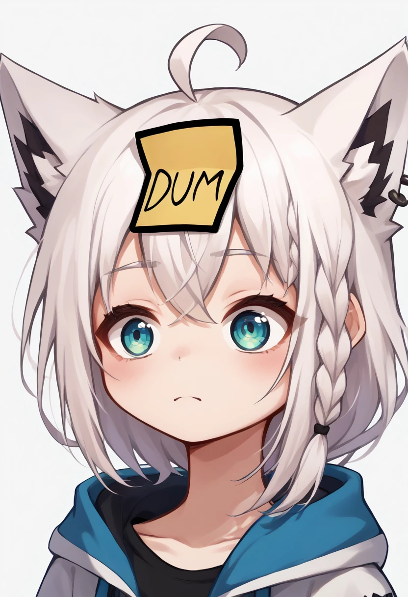 score_9, score_8_up, score_7_up, source_anime, 1girl, dumstickyNote, sticker, <lora:DumStickyNote_XLPD:1>, upper body, <lora:shirakami_fubuki_sdxl_pony-2:0.8> fubuki, white hair, single side braid, ahoge, piercing, fox tail, pentagram,
