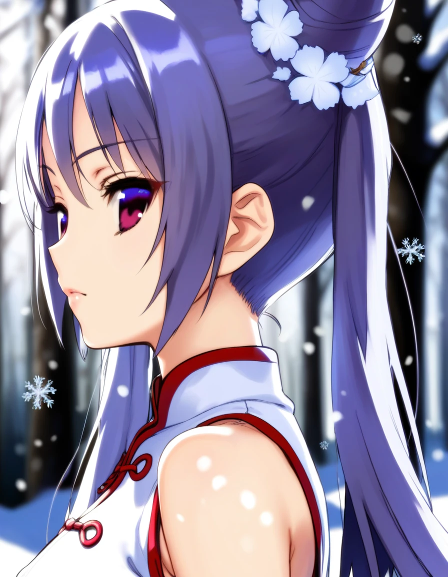 score_9, score_8_up, score_7_up, score_6_up, score_5_up, score_4_up, source anime BREAK 1girl, solo, chibi, warm, snow, Qing dynasty princess, portrait, chinese clothes, sunlight, blurry background, upper body, (from side:0.9), looking at viewer, snowflakes, particles
<lora:rokkaku_pony-v1-000010:0.8>