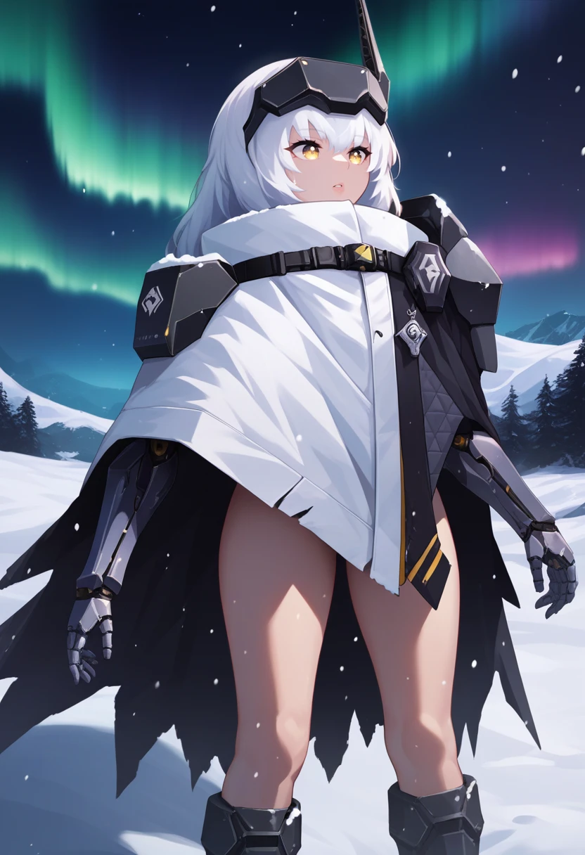 score_9, score_8_up, score_7_up, source_anime, BREAK 1girl, solo, <lora:snowwhite-nikke-richy-v1_pdxl:0.8> swdef, white hair, long hair, yellow eyes, headgear, mechanical arms, shoulder pad, cloak, chest strap, badge, thighs, boots, standing, outdoors, parted lips, cold, winter, snow, dark, darkness, black background, aurora, night, night sky