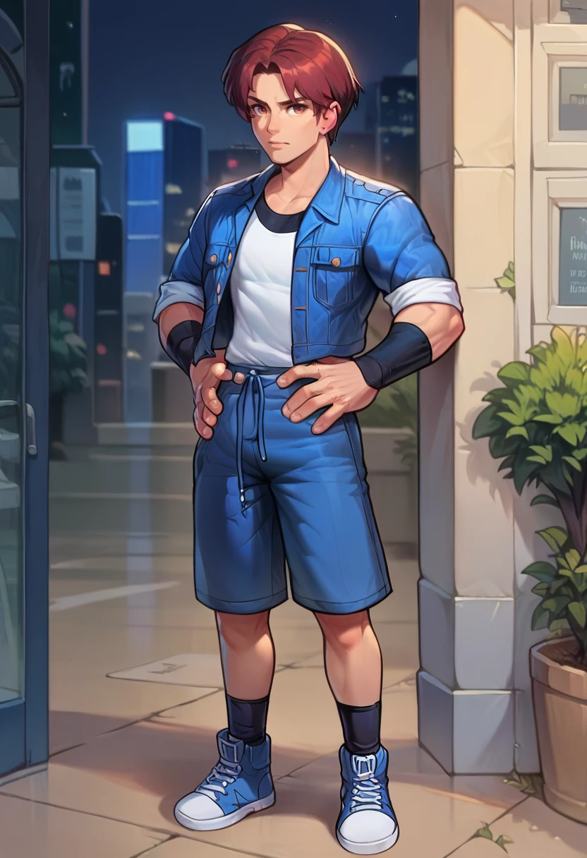 (source_anime, score_9, score_8_up, score_7_up:1), (source_anime, score_9, score_8_up, score_7_up:1), SieKensou, 1guy, blue jacket, white t-shirt, shorts, black socks, sneakers, bracelets,, hands on hips, view from high, at the city night<lora:EMS-248183-EMS:0.800000>, <lora:EMS-366118-EMS:1.000000>, <lora:EMS-352323-EMS:0.400000>