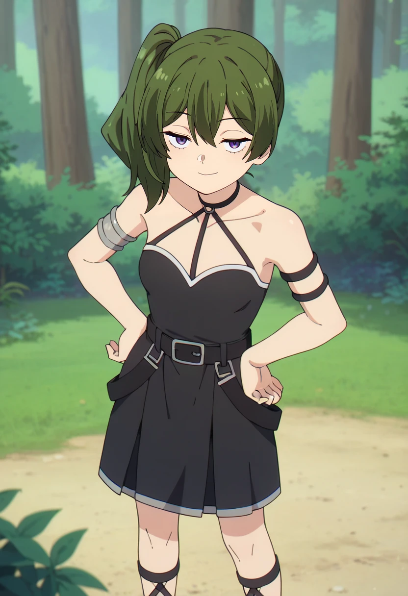 score_9, score_8_up, score_7_up,
<lora:SousouNoFrieren_UbelXL:0.8>, UbelSSnF,
1girl, solo, closed mouth, grin,
green hair, side ponytail, purple eyes,
black dress, halterneck, sleeveless, black belt, armlet, arm strap, single glove,
standing, looking at the viewer, from angle, hands on own hips,
fantasy, medieval, photo background, forest, tree, moss, stream, stone, leaf, maple tree, grass, nature, blurry background