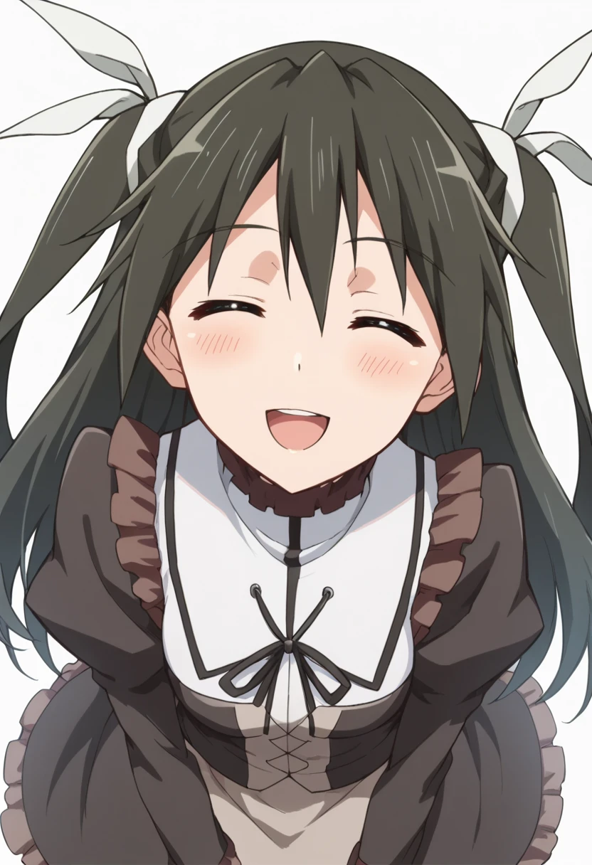 score_9, score_8_up, score_7_up, source_anime, rating_safe,<lora:skanade_PONY-300008:1> skanade, 1girl, closed eyes, solo, two side up, long hair, hair ribbon, dress, blush, smile, open mouth, from above, white background,