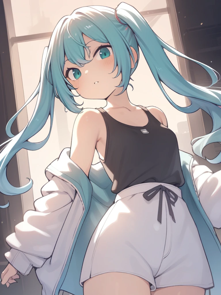 1girl, hatsune miku, standing, <lora:hobbyanon_aaaa_quad-a_v1_AnythingXL:1>,
cowboy shot, looking at viewer, solo,
very aesthetic, aesthetic,
masterpiece, best quality