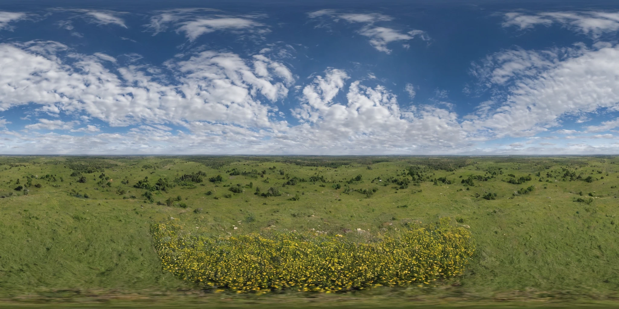 <lora:HMSGèªæå
¨æ¯XL:1>,360panorama,Centered Horizon,No seams,<lora:å
å½±XL:1>,From the heights,a lush green carpet stretches out in an expansive bird's-eye view. The tapestry of green is dotted with sporadic wildflowers,their colors a subtle punctuation on nature's verdant expanse. The landscape is peaceful,undulating gently with the contours of the land. In its simplicity,the scene is a testament to the unassuming beauty of open fields,a breath of freshness that calms the soul,