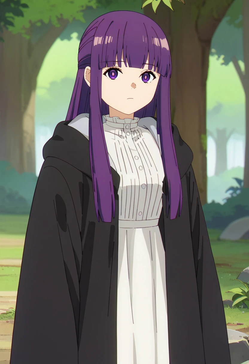 score_9, score_8_up, score_7_up,
<lora:SousouNoFrieren_FernXL:0.9>, FernSSnF,
1girl, solo, closed mouth,
purple hair, long hair, purple eyes, bright pupils, blunt bangs,
FernCasual, white dress, black robe, open clothes, hood, frilled collar,
standing, looking at the viewer,
fantasy, medieval, photo background, forest, tree, moss, stream, stone, leaf, maple tree, grass, nature, blurry background