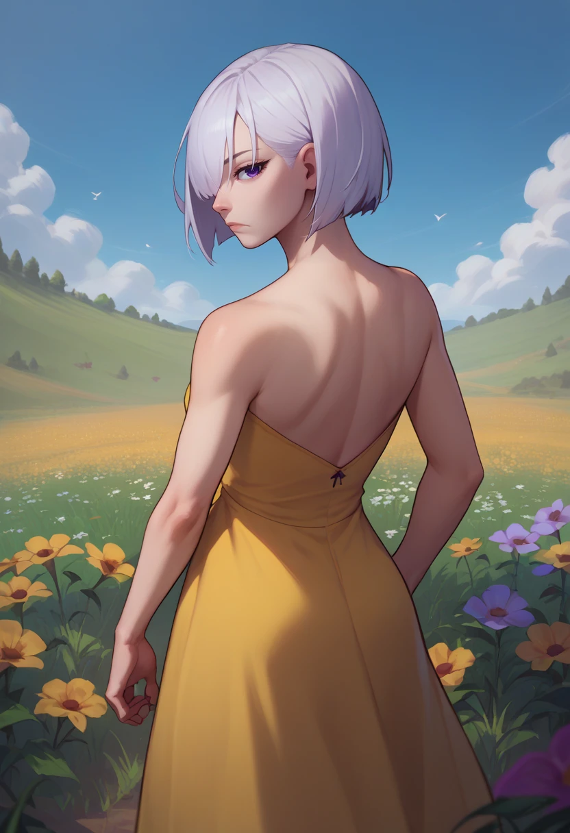 score_9, score_8_up, score_7_up, solo, 1girl, fionadef, expressionless, looking back, short hair, white hair, hair over one eye, purple eyes, yellow sundress, bare shoulders, outdoors, flower field <lora:spyxfamily_fionafrost_ponyXL:1>