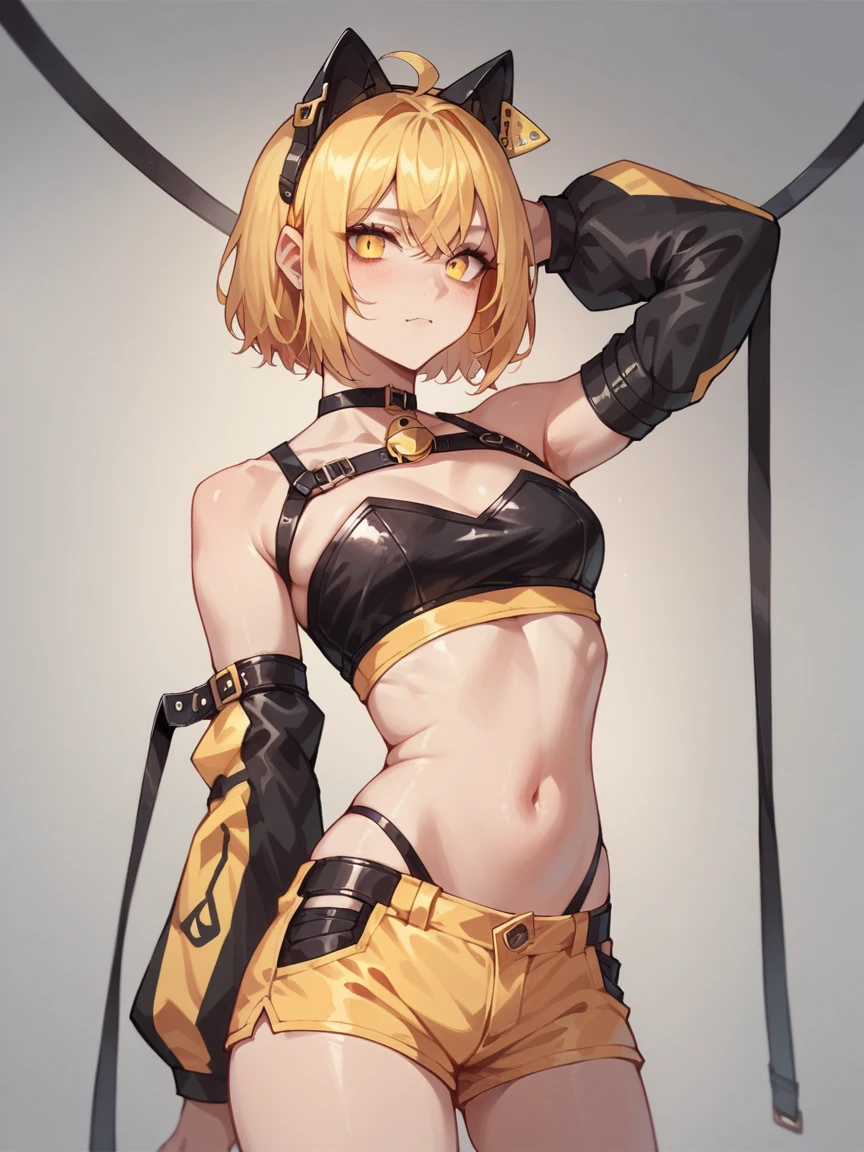 score_9, score_8_up, score_7_up, score_6_up,  <lora:d4ng3rXLP:0.6> d4ng3r, shorts, elbow gloves, 1girl, cat ears, crop top, yellow and black