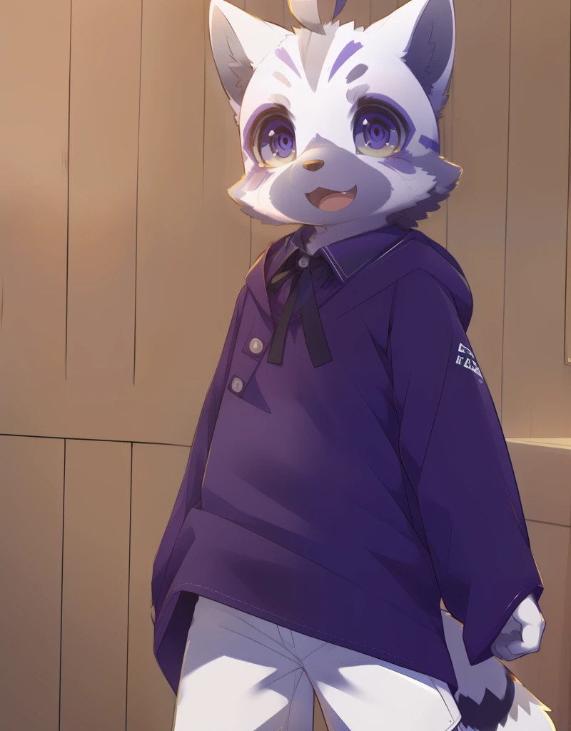 (((detailed eyes, detailed face))), (furry, nazk <lora:character_nazk_findigo_v2:1>, two-tone fur, grey fur, white fur, ahoge, cat boy, purple eyes), male, (solo), (plump), (purple robe, white shorts, (black) shirt, collared shirt, neck ribbon, black ribbon), standing, (arms behind back), smile BREAK (konzaburou, ukan_muri, cute), bedroom, (flat shading, flat color, high brightness), 8k, UHD, masterpiece, (full body)