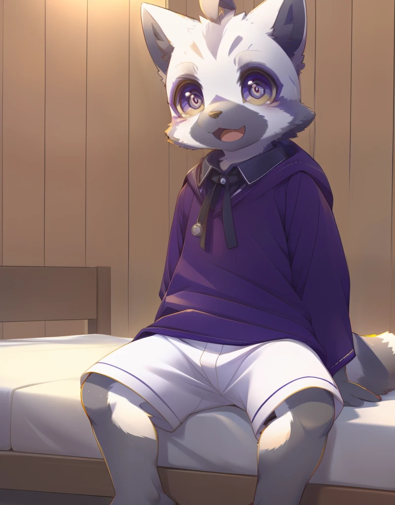 (((detailed eyes, detailed face))), (furry, nazk <lora:character_nazk_findigo_v2:1>, two-tone fur, grey fur, white fur, ahoge, cat boy, purple eyes), male, (solo), (plump), (purple robe, white shorts, black shirt, collared shirt), sitting, (arms behind back), smile BREAK (konzaburou, ukan_muri, cute), bedroom, (flat shading, flat color, high brightness), 8k, UHD, masterpiece, (full body)