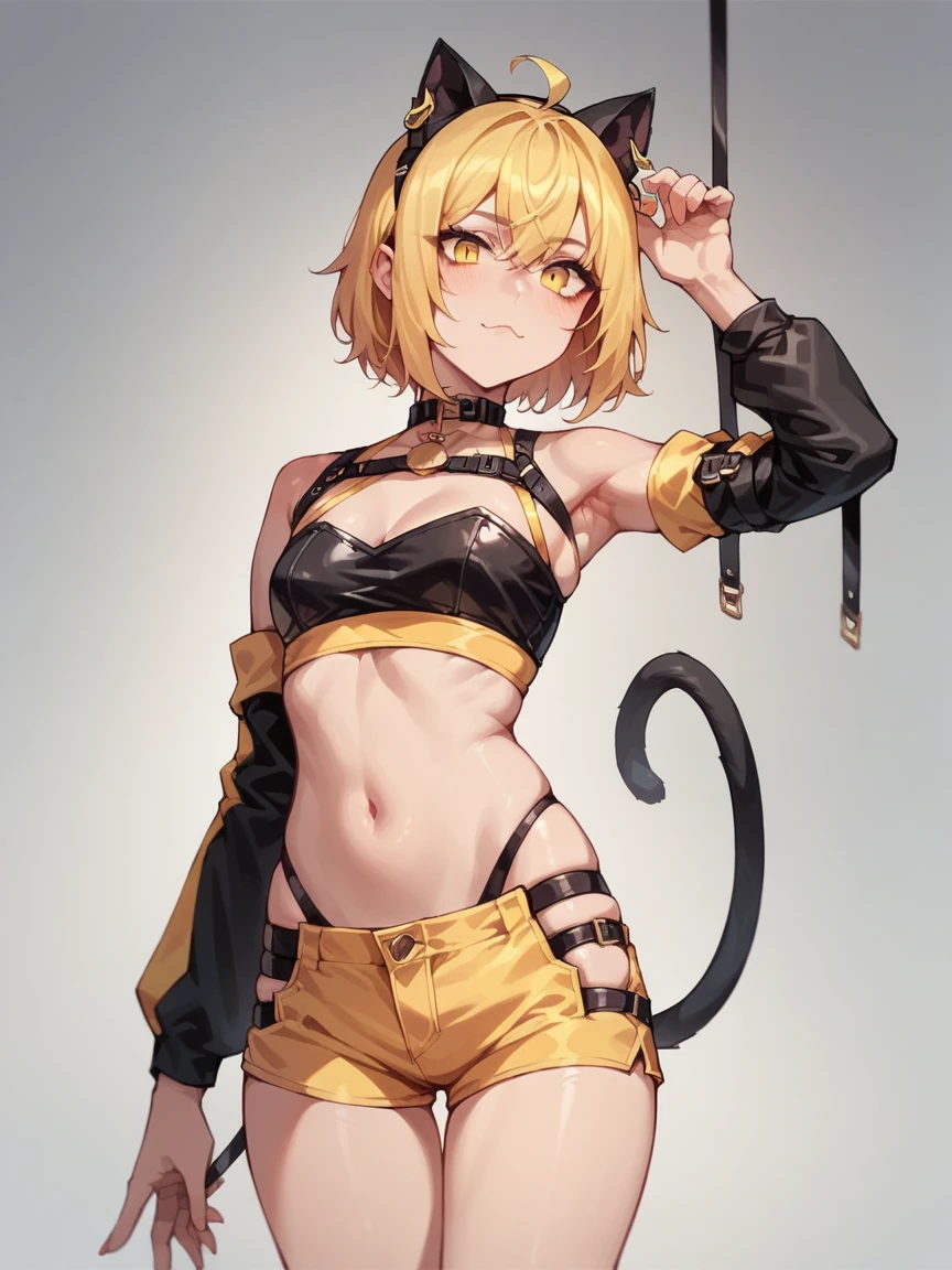 score_9, score_8_up, score_7_up, score_6_up,  <lora:d4ng3rXLP:0.6> d4ng3r, shorts, elbow gloves, 1girl, cat ears, crop top, yellow and black