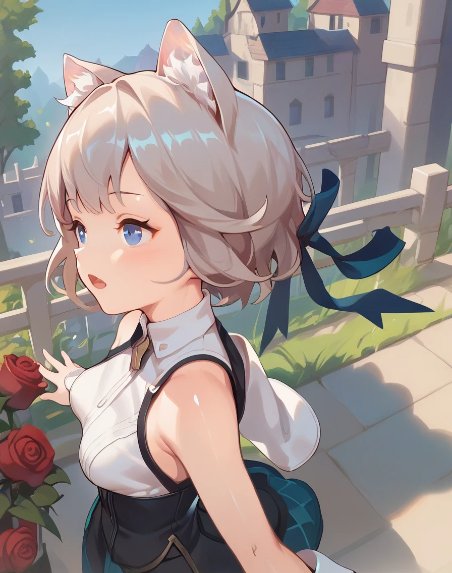 score_9, score_8_up, score_7_up,score_6_up, 1girl in a backyard, castle, roses, open mouth, from above, standing, from side,
<lora:villainchin_style_pony6_v1-000034:.8> <lora:Genshin_LS_PONY:0.8> LS, cat ears, hair ribbon, short hair,