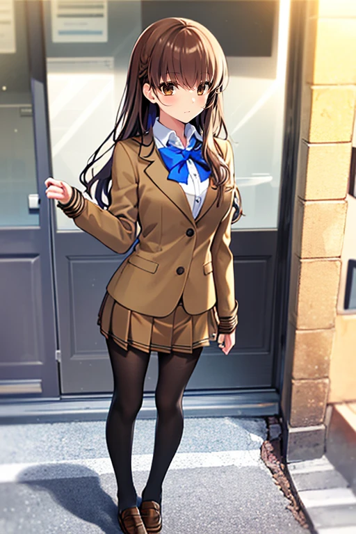 masterpiece, 
solo, front view, 
1girl, standing, looking_at_viewer, 
<lora:hakunon_v3:1>, hakunon, kishinami hakuno \(female\), brown hair, (brown eyes:1.4), long hair, straight_hair, bangs, hime cut, school uniform, jacket, brown jacket, long sleeves, bowtie, blue bow, blue bowtie, skirt, pleated_skirt, miniskirt, brown skirt, black_pantyhose, pantyhose, shoes, brown footwear, loafers,