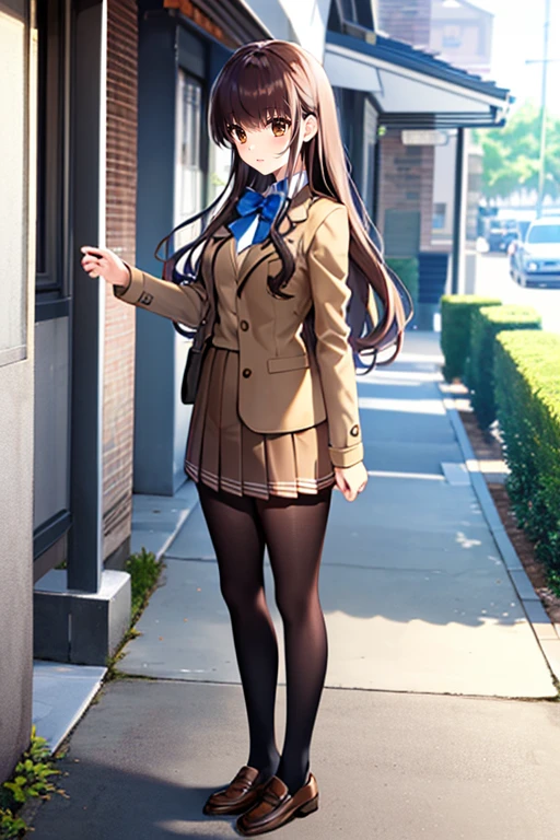 masterpiece, 
solo, front view, 
1girl, standing, looking_at_viewer, 
<lora:hakunon_v3:1>, hakunon, kishinami hakuno \(female\), brown hair, (brown eyes:1.4), long hair, straight_hair, bangs, hime cut, school uniform, jacket, brown jacket, long sleeves, bowtie, blue bow, blue bowtie, skirt, pleated_skirt, miniskirt, brown skirt, black_pantyhose, pantyhose, shoes, brown footwear, loafers,