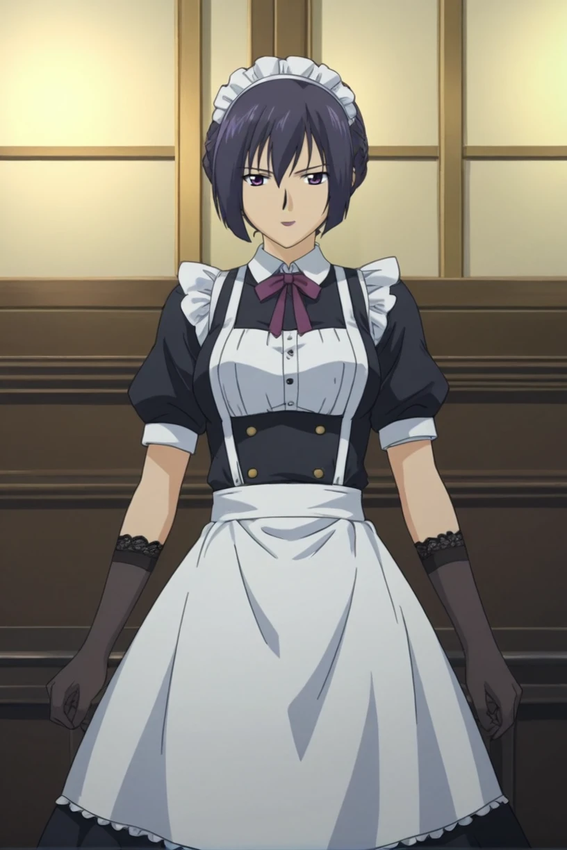 best quality,masterpiece,looking at viewer,absurdres,1girl,score_9,score_8_up,score_7_up,source_anime BREAK <lora:026-çå¾·è±å
ä¸-婿¢
å°è¾¾Â·çº¦å°æ ¼XLV1:0.8>,limelda jorg,purple hairpurple eyes,short hair,maid,suspenders,pantyhose,lace gloves