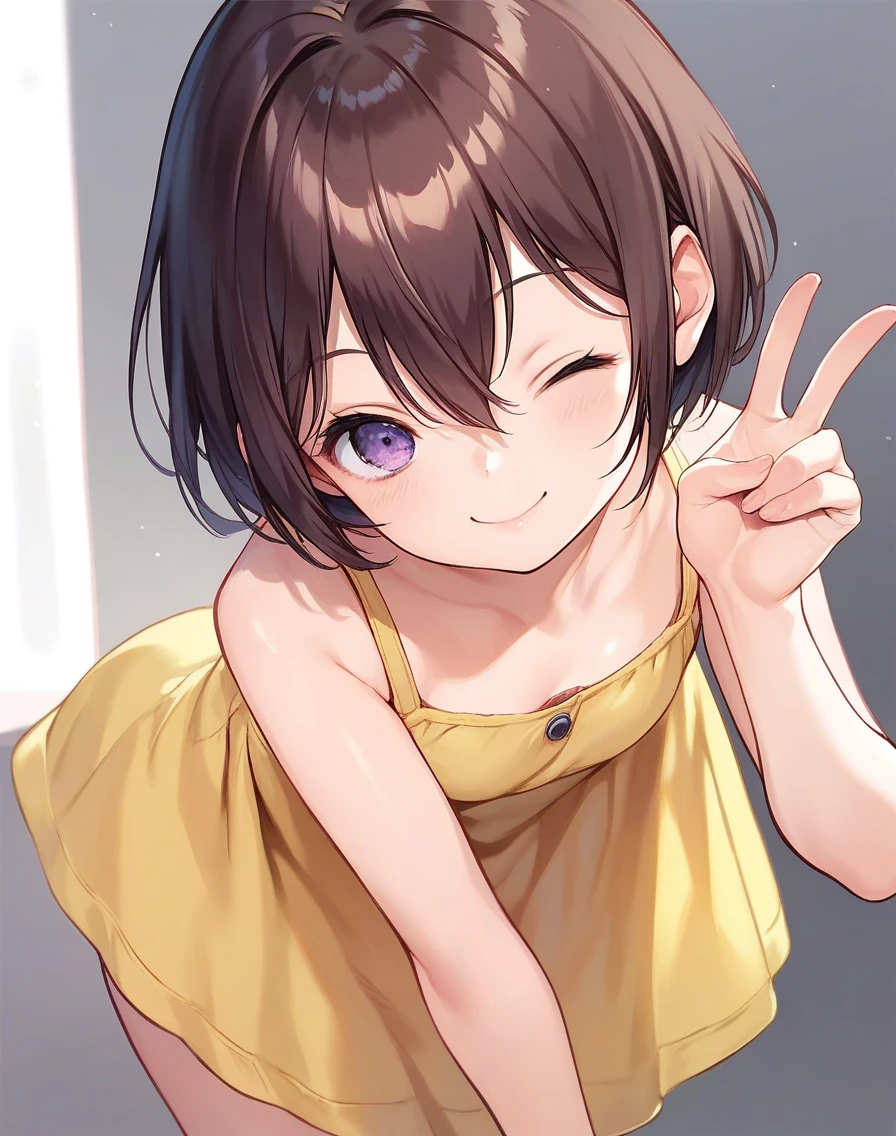 score_9, score_8_up, score_7_up,score_6_up, 1girl , brown hair, short hair, hair between eyes, yellow sundress dress, leaning forward, v, one eye closed, purple eyes, smile,
<lora:boku_style_pony6_v1:1>