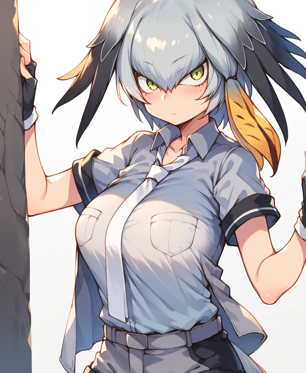 score_9,score_8_up,score_7_up,score_6_up,score_5_up,score_4_up,
1girl,<lora:shoebill_pony:1>,shoebill,grey hair,sidelocks,hair between eyes,black hair,head wings,shirt,long hair,necktie,grey shirt,short sleeves,collared shirt,gloves,black gloves,fingerless gloves,shorts,white necktie,pocket,breast pocket,