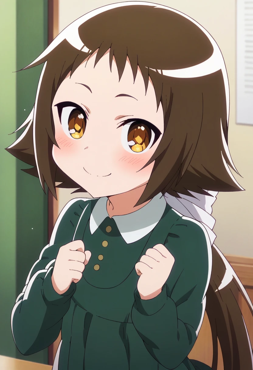 score_9, score_8_up, score_7_up, score_6_up, score_5_up, score_4_up , anime coloring ,BREAK source_anime, anime,
mashiro, long hair, blush, brown hair, long sleeves, dress, very long hair, ponytail, green dress,<lora:PonyXL Mashio V1:1>
looking at viewer, upper body, smile,
indoors,