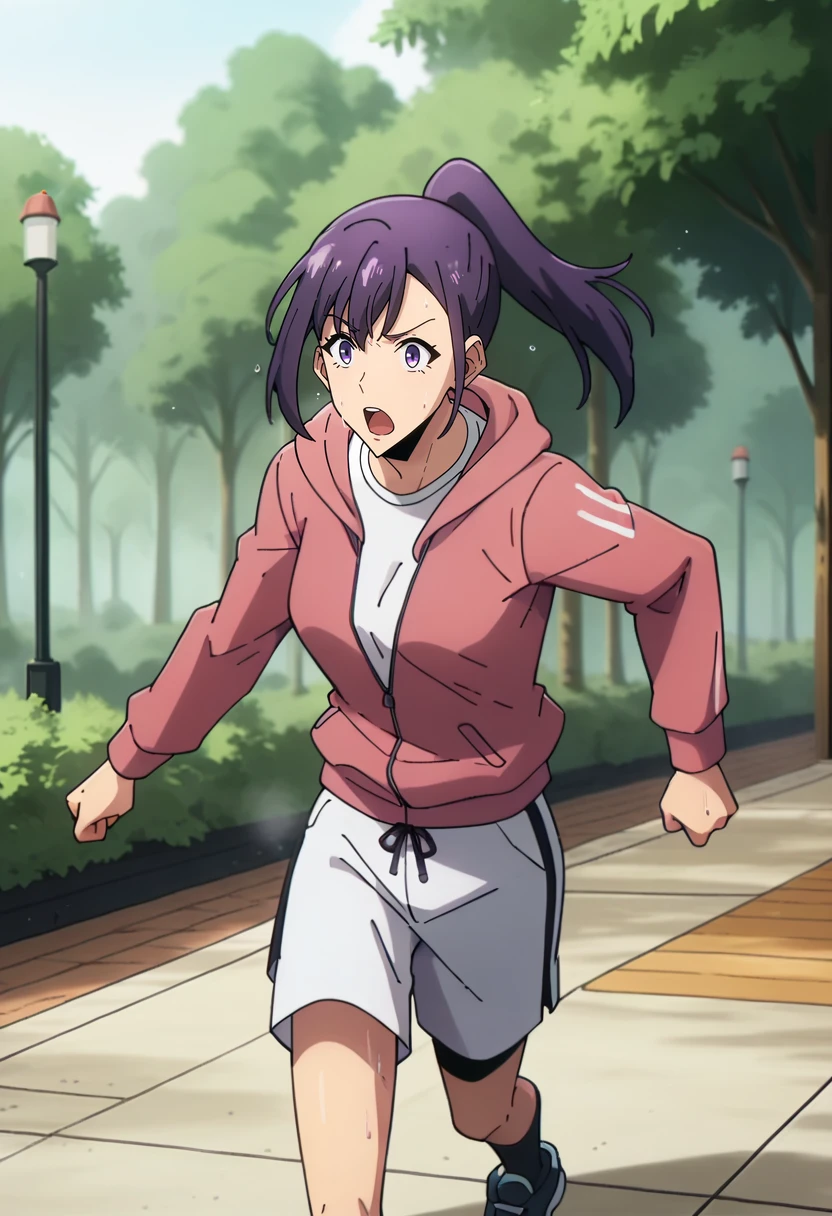 score_9, score_8_up, score_7_up,
<lora:SoloLeveling_SungJinahXL:0.8>, SungJinahSL, 
1girl, solo, open mouth, sweat,
purple hair, purple eyes, ponytail,
JinahJogging, white shirt, white shorts, hooded jacket, pink jacket, black leggins,
running, looking at the viewer,
outdoors, tree, forest, park