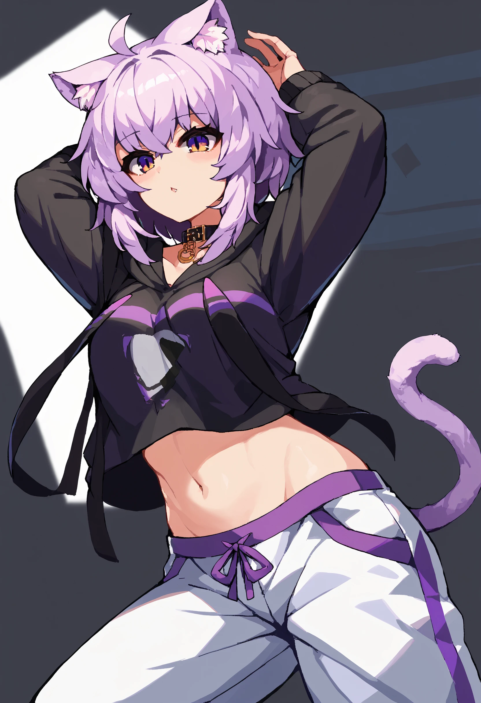 score_9, score_8_up, score_7_up, uncensored, source_anime, 1girl, <lora:sptakorinStyleXLPony:1> by takorin,  <lora:okayuXL:1> okayu_base, black hoodie, onigiri print, midriff, white pants, animal collar, cat tail, ahoge