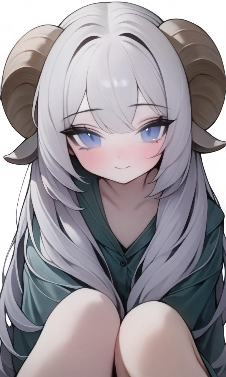 solo, 1girl, white hair, blue eyes, goat horns,
sitting, looking at viewer, light smile, upper body,
masterpiece, best quality, very aesthetic, absurdres, wlsdnjs950,
<lora:Rabbit_(wlsdnjs950)_XL:1>