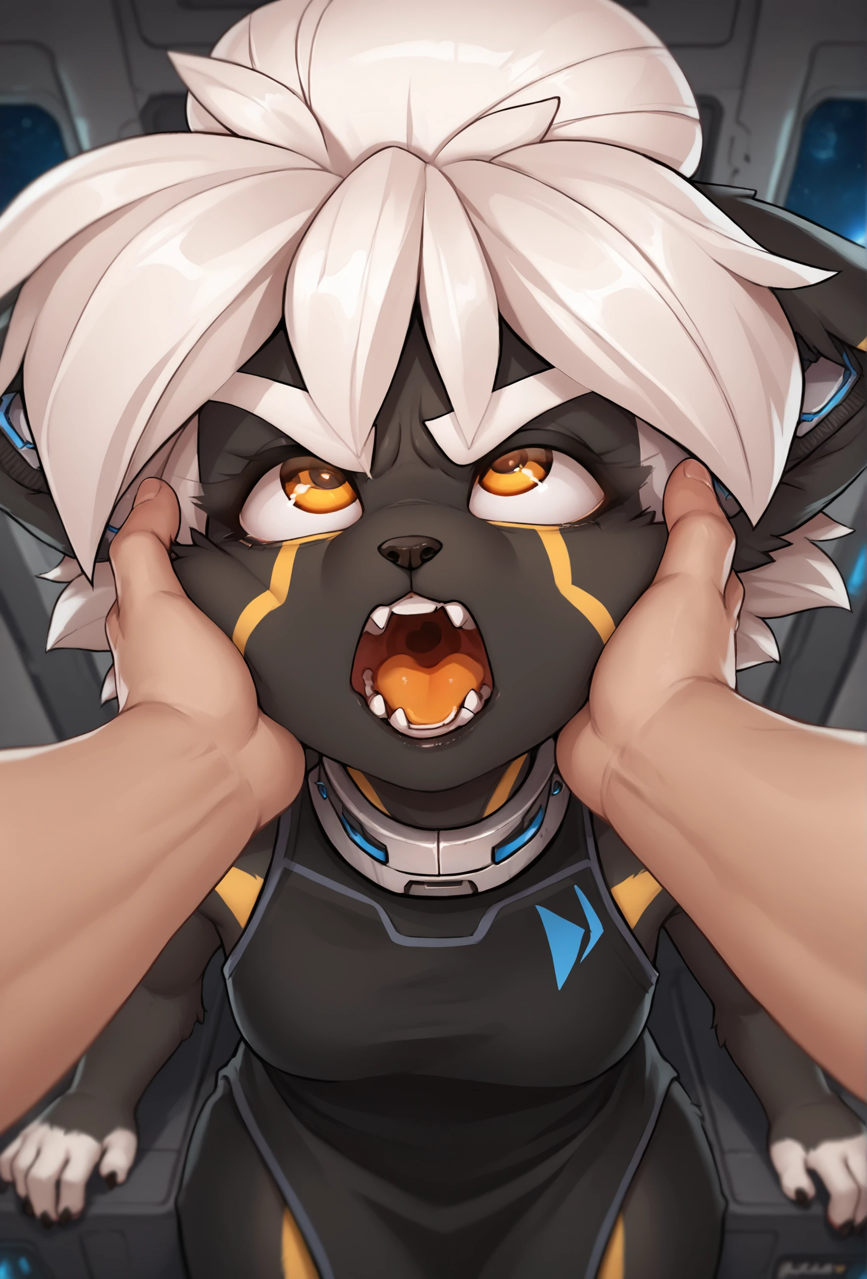 Preview 5
