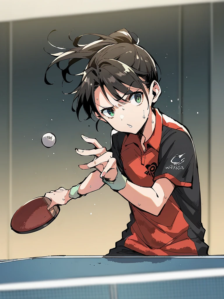 score_9,score_8_up,score_7_up,source_anime,1girl,<lora:ping-pong_pony:1>,ping-pong,indoor,upper body,