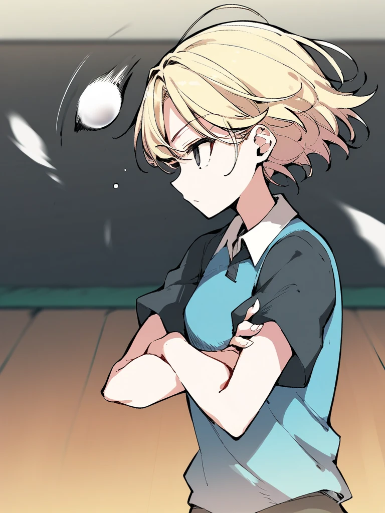 score_9,score_8_up,score_7_up,source_anime,1girl,<lora:ping-pong_pony:1>,ping-pong,indoor,gym,upper body,expressionless,short blonde hair,empty hands,crossed arms,flying ball,motion lines,from front