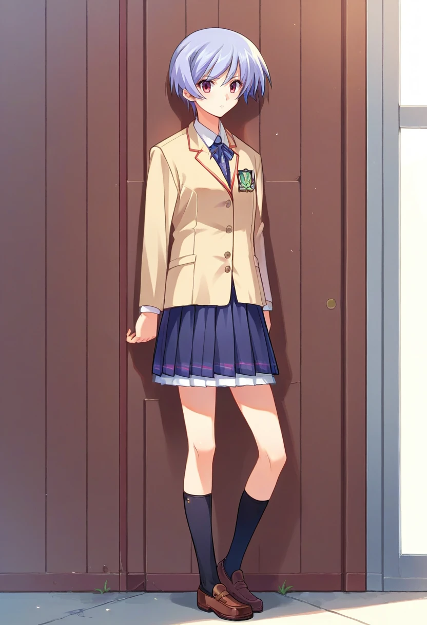 score_9, score_8_up, score_7_up, source_anime, <lora:wrenchchaosheadayasekishimoto:1>, chayasekishimoto, school uniform, full-length portrait,