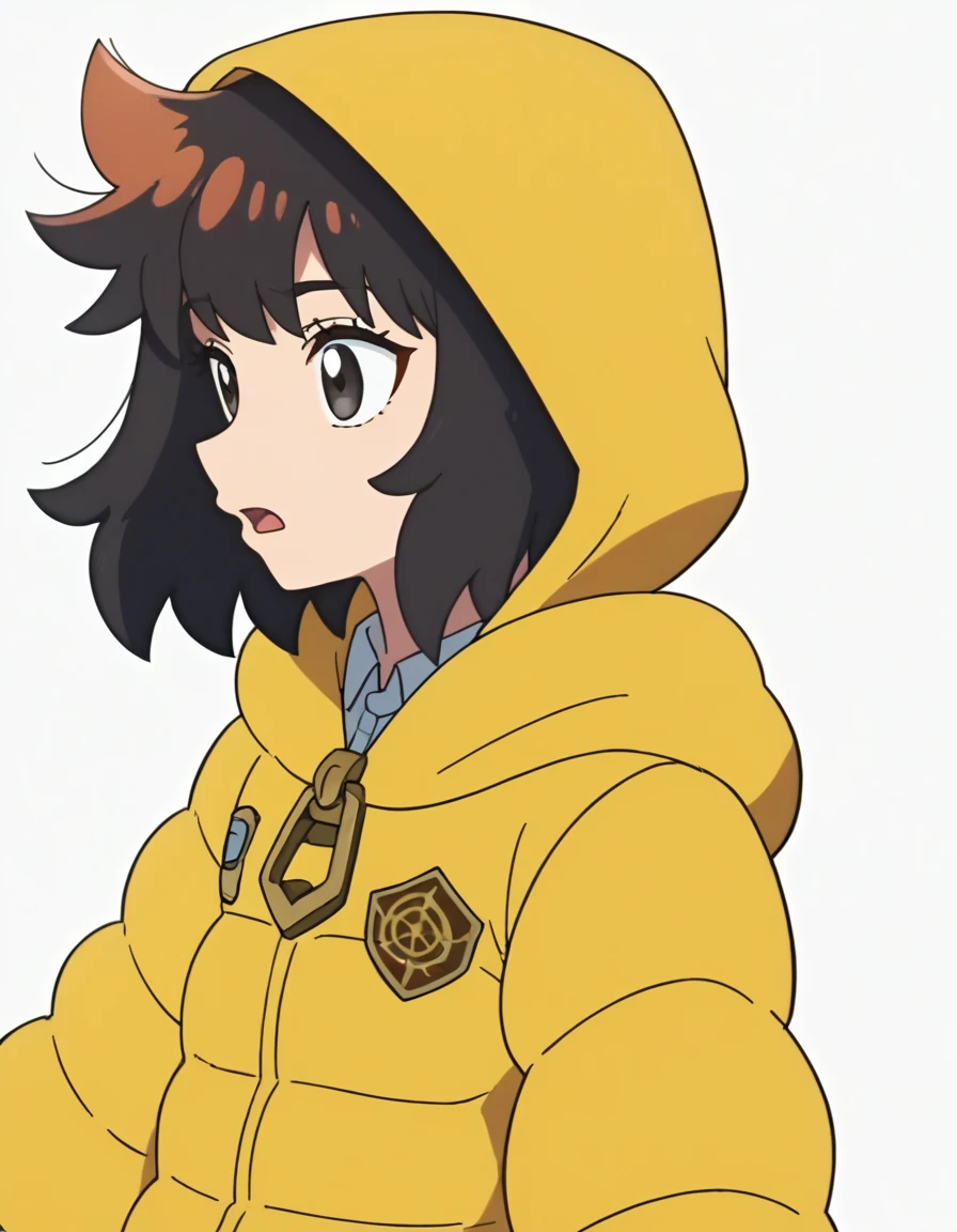 score_9, score_8_up, score_7_up, score_6_up, score_5_up, score_4_up, BREAK source_anime, anime screencap, <lora:OharaPaldeansWinsXL-08:0.7> OharaPaldeansWinsXL, 1girl, solo, open mouth, simple background, black hair, long sleeves, white background, upper body, hood, black eyes, profile, hood down, yellow coat,