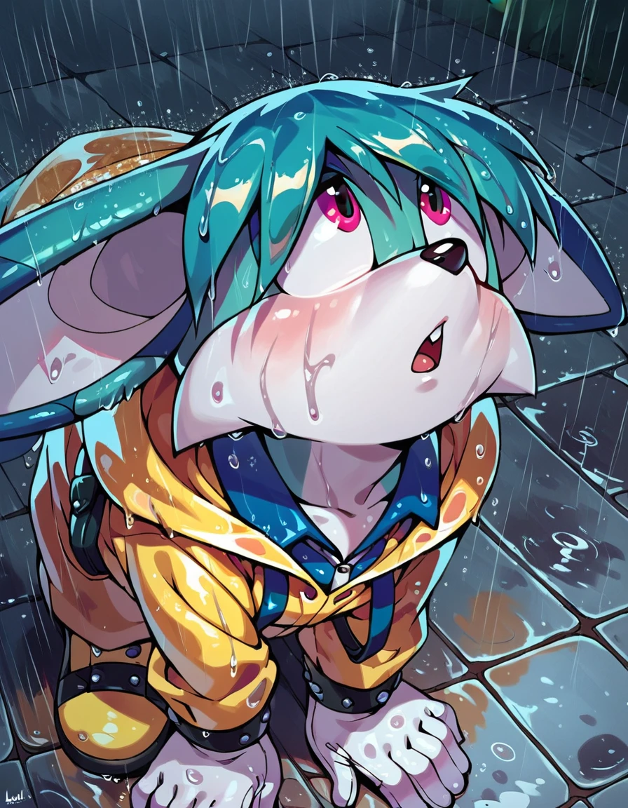 score_9, score_8up,  <lora:Concept Art Eclipse Style LoRA_Pony XL v6:1>   <lora:kitsunami_the_fennec:1> kitsunami the fennec, 1boy, yellow raincoat, wet, raining, looking up, in ah,