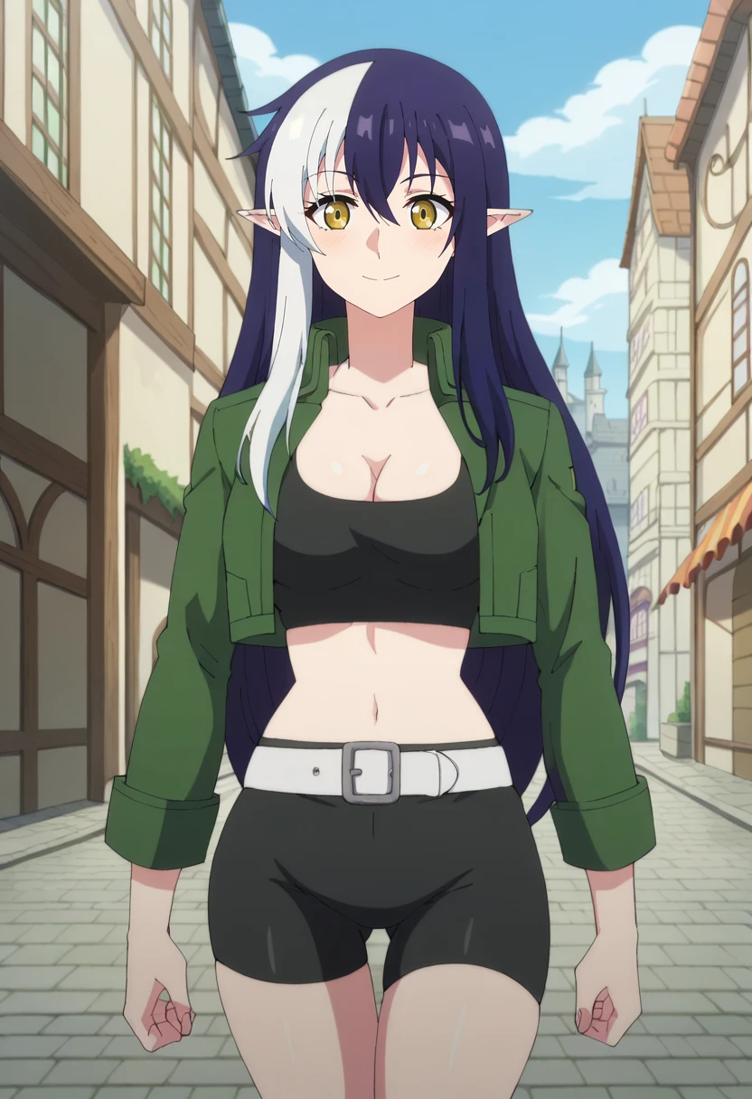 score_9, score_8_up, score_7_up,
<lora:TheNewGate_TieraLucentXL:0.8>, TieraTNG,
1girl, solo, closed mouth, light smile, light blush,
two-tone hair, purple hair, white hair, yellow eyes, long hair, pointy ears,
TieraAdventurer, cropped jacket, open jacket, green jacket, black shirt, crop top,  cleavage, white belt, black shorts, bike shorts,
standing, looking at the viewer, 
outdoors, city, medieval, street