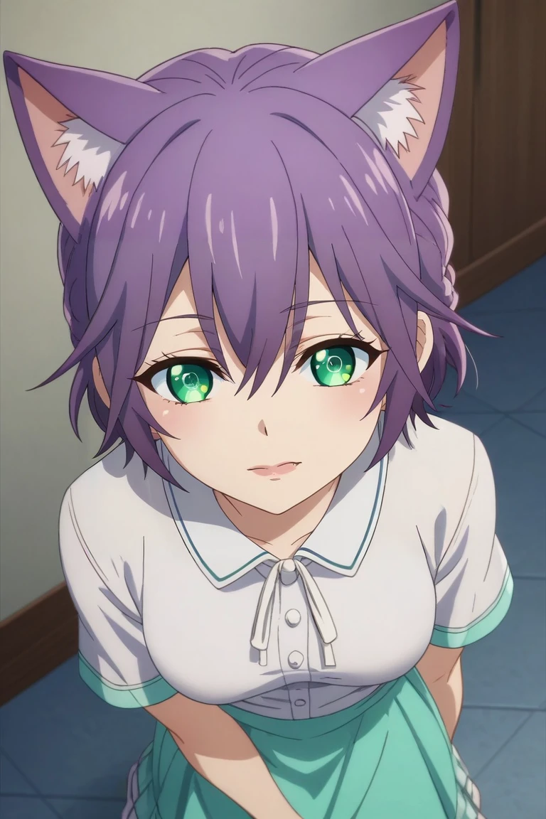 score_9, score_8_up, score_7_up, source_anime, rating_safe, intricate details, anime screencap, , , , , 1girl, solo, <lora:hiro_segawa_pony:0.98>, hiro_segawa, purple hair, green eyes, short hair, bangs, hair between eyes, braid, from above, full body, great wall of china, indoors, (pose), skin fang, iridescent shirt, layered skirt, white ribbon, hair ribbon, animal ears, cat ears, <lora:sdxl_lightning_8step_lora:1>