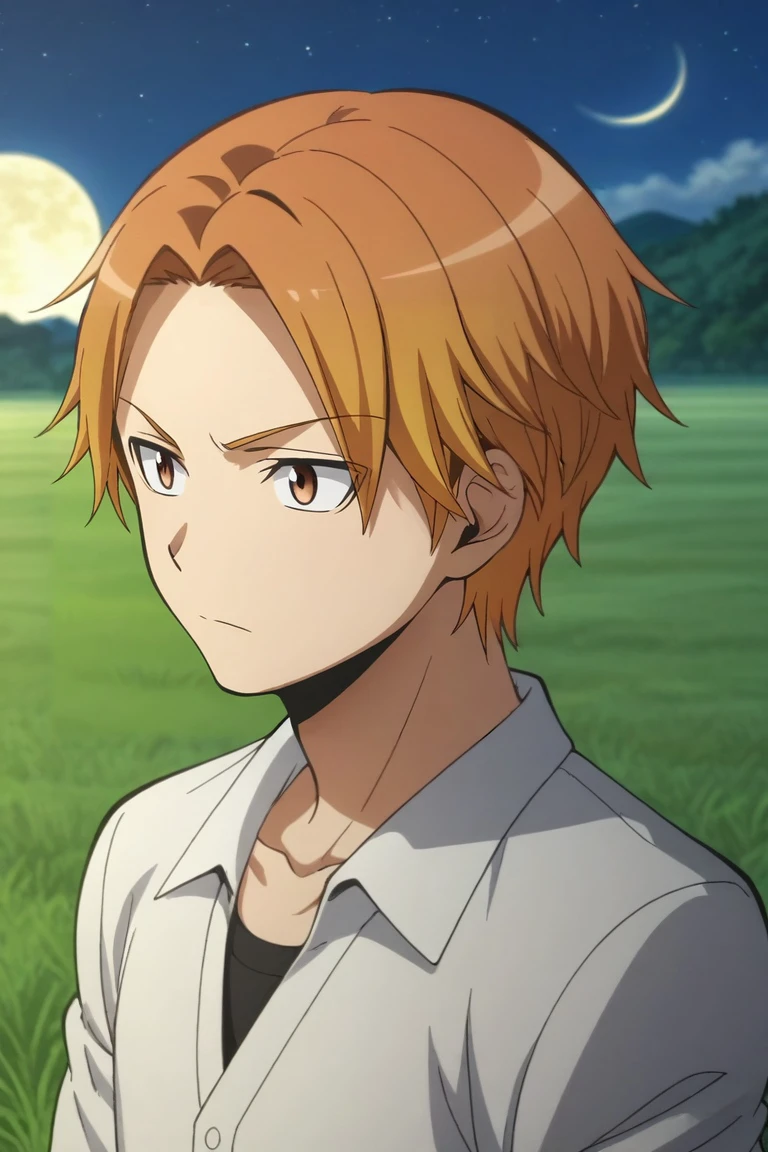 score_9, score_8_up, score_7_up, source_anime, rating_safe, intricate details, anime screencap, , , , depth of field, 1boy, solo, male focus, <lora:hiroto_maehara_pony:0.88>, hiroto_maehara, orange hair, brown eyes, short hair, panorama, field, night, crescent moon, crossed arms, distracted, aloof, oblivious, , <lora:sdxl_lightning_8step_lora:1>