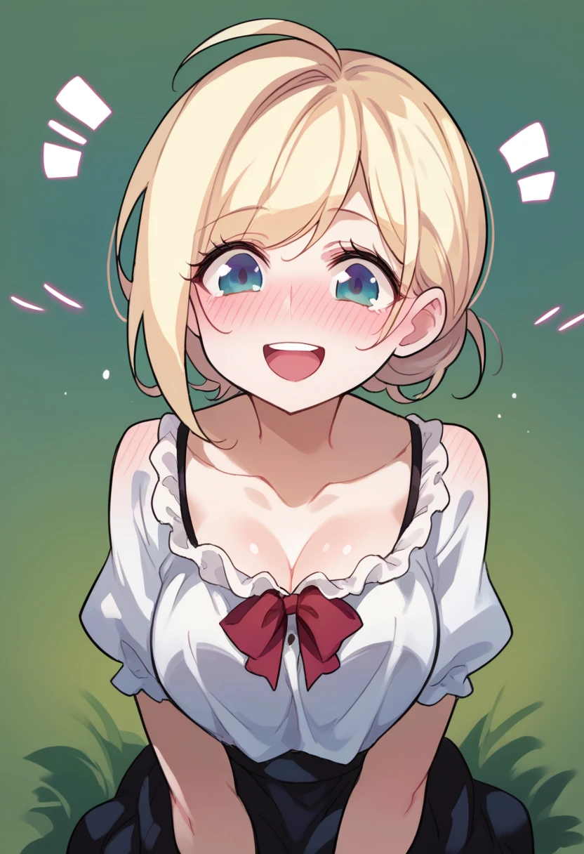 score_9,score_8_up,score_7_up,front view,1girl,blonde hair,ahoge,blouse,blush,happy_tears,in a meadow,
<lora:DOPL_01-40:1.2>,