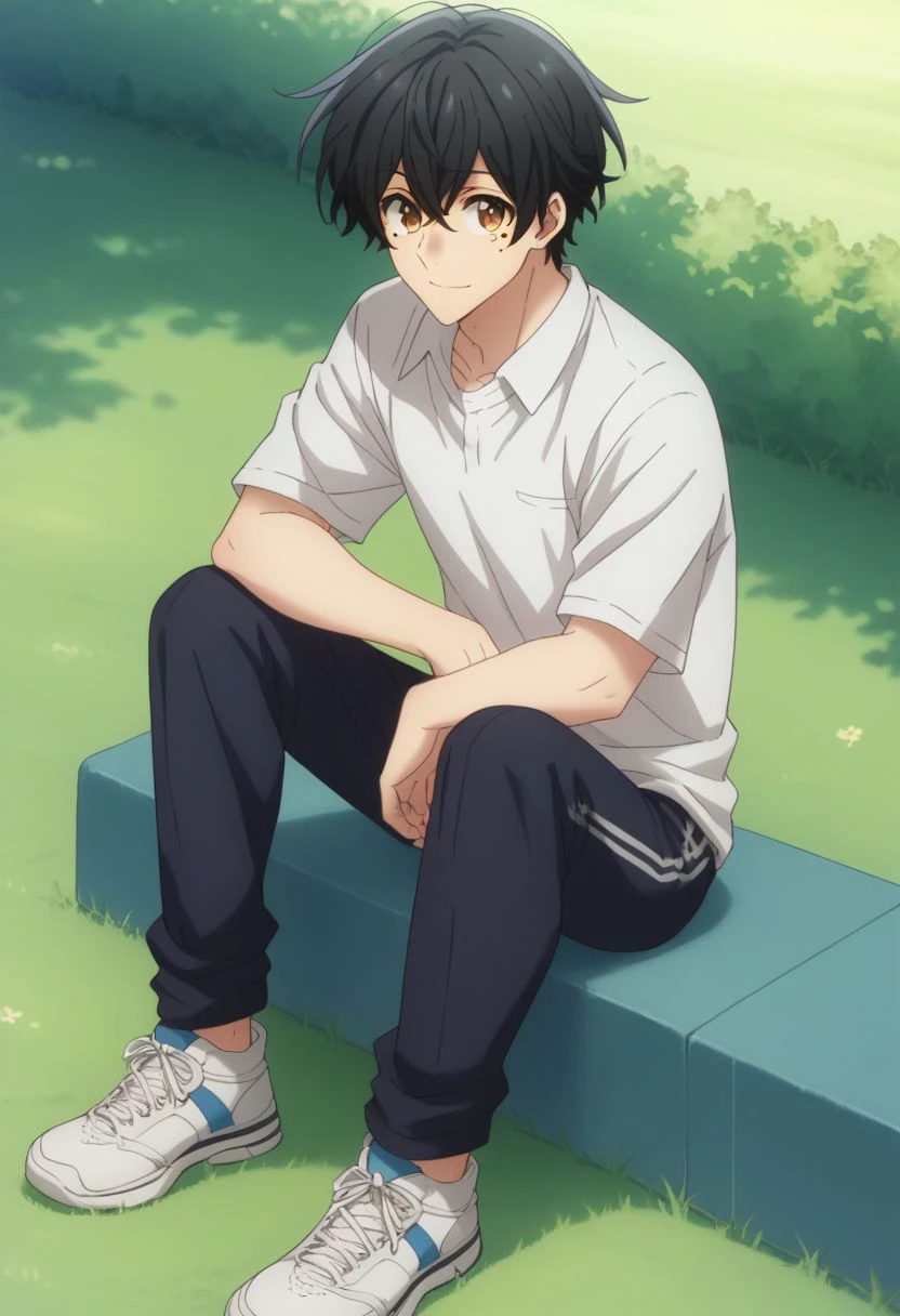 score_9, score_8_up, source_anime, highly detailed, 1boy, 
miyano, 1boy, male focus, solo, black hair, shirt, brown eyes, mole, mole under eye, air between eyes, sportwear, white shirt, short pants, sneakers, 
outdoor, smile, sit, grass,