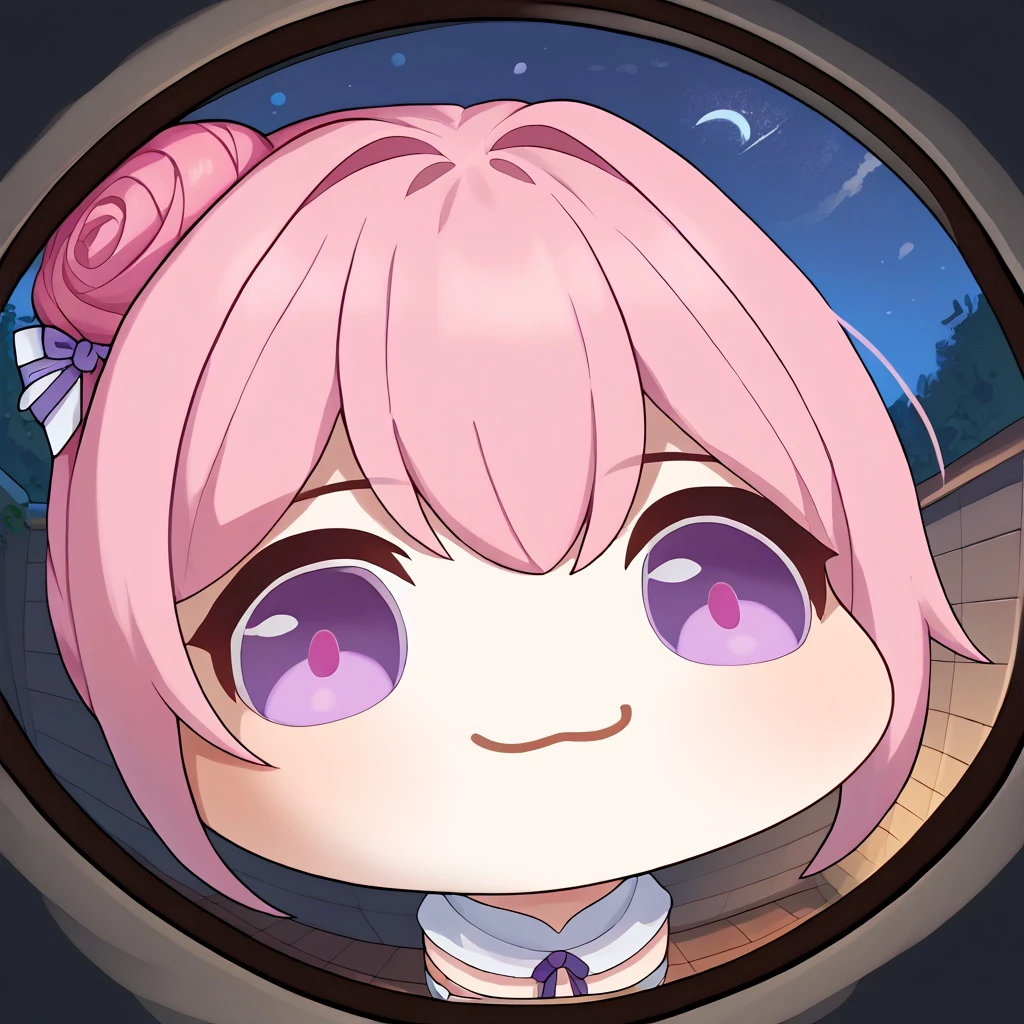 score_9,score_8_up,score_7_up,fisheye,outdoors, night,mutsukiface, chibi, smile, closed mouth, close-up,doro, creature, :3, chibi, pink hair, purple eyes, hair bun, hair bow, no humans, white skin, four legs, solid circle eyes, no pupils
<lora:door_fisheye_v1:1>, <lora:meme_mutsukiface_ponyXL:1>  <lora:Doro_X_PDXL_V1:0.8>