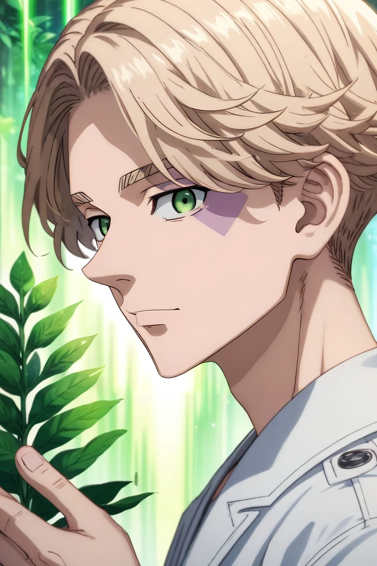 score_9, score_8_up, score_7_up, source_anime, rating_safe, , (realistic:0.6), looking at viewer, , 1boy, solo, male focus, <lora:seishuu_inui_pony:0.86>, seishuu_inui, blonde hair, green eyes, short hair, bangs, symmetry, energy plant, day, holding object, :D, , <lora:sdxl_lightning_8step_lora:1>