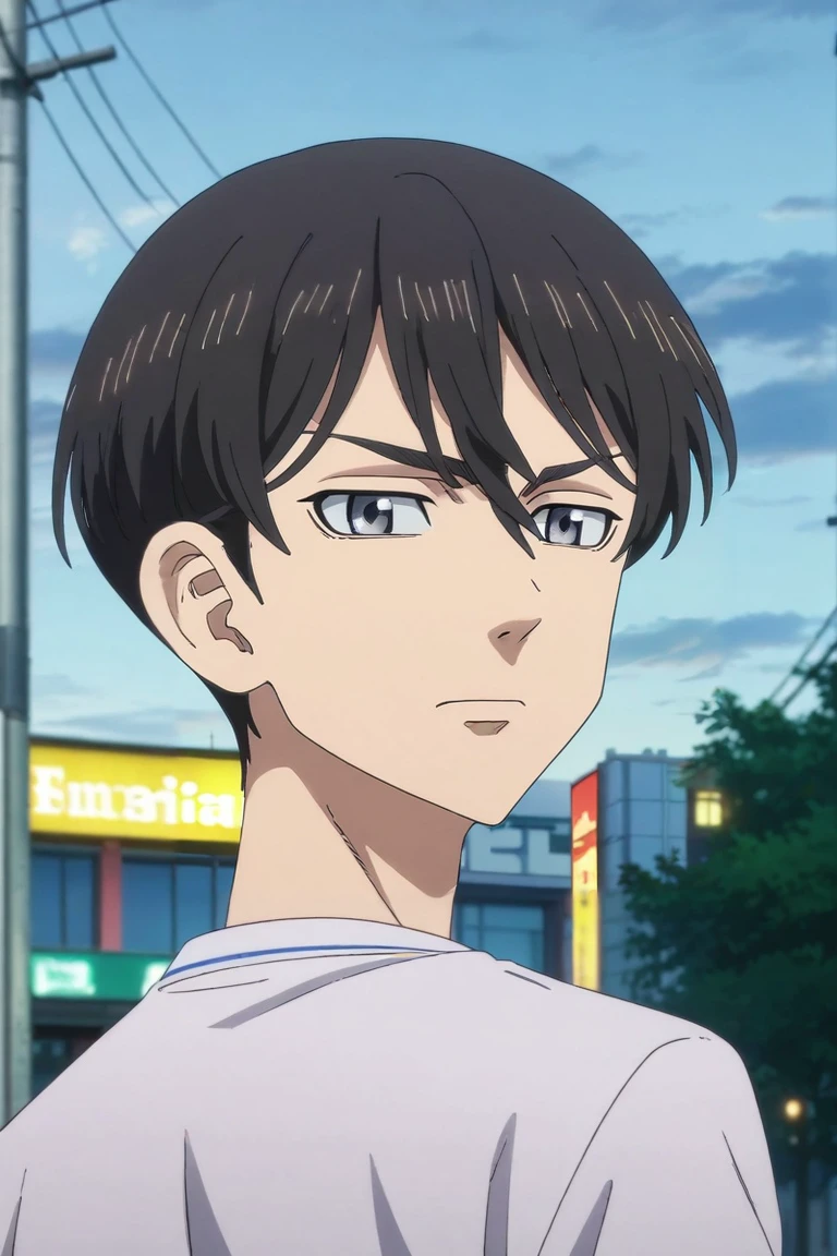 score_9, score_8_up, score_7_up, source_anime, rating_safe, intricate details, anime screencap, , official style, , depth of field, 1boy, solo, male focus, <lora:naoto_tachibana_pony:1>, naoto_tachibana, black hair, grey eyes, short hair, hair between eyes, focused, hill, dusk, looking back, sad, , <lora:sdxl_lightning_8step_lora:1>